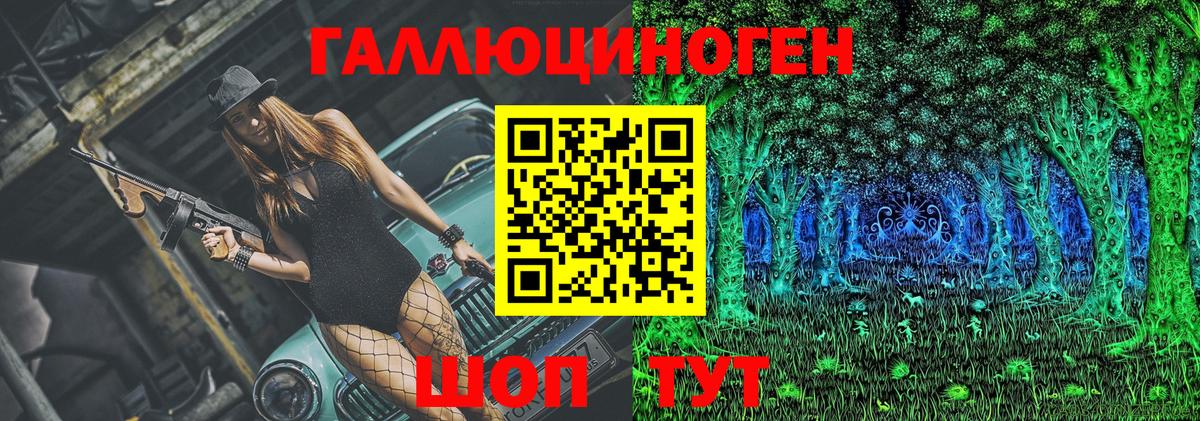 Волжск  сколько стоит  Вход с VPN  Галлюциногенные грибы Psilocybine cubensis 