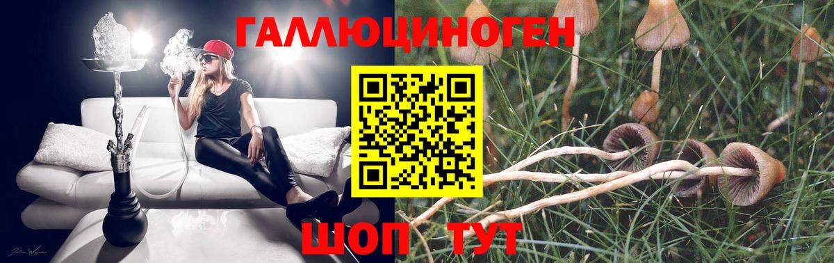 COCAIN  Вход с VPN  МДМА  А ПВП СК   Волжск  ГАШИШ  Каннабис  Лсд 25  МЕФ кристаллы  ГАШИШ  Бошки Шишки 